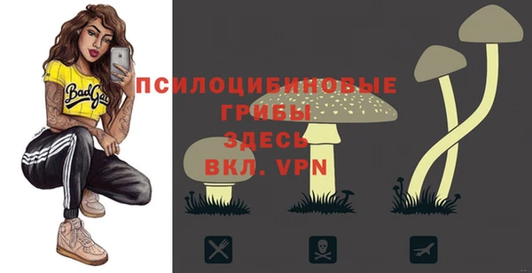 ешки Ладушкин
