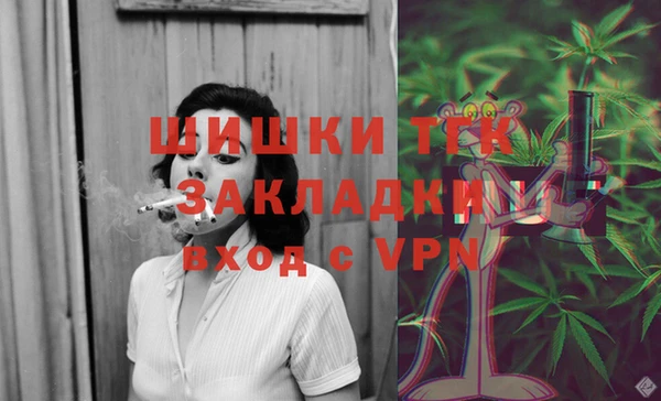 PSILOCYBIN Богородицк