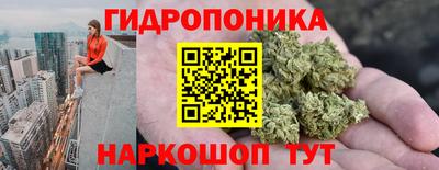 крисы Будённовск