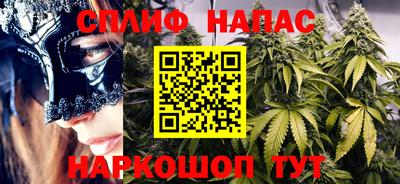 крисы Будённовск