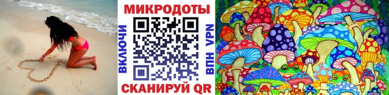 закладки Грозный omg ссылка Псилоцибиновые грибы прущие грибы