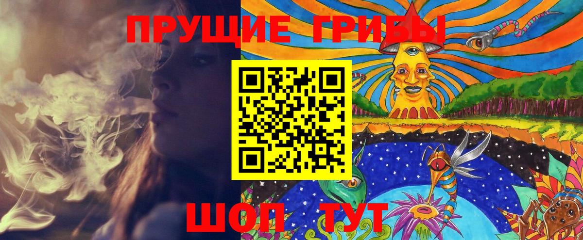 Псилоцибиновые грибы Psilocybine cubensis  Грозный 