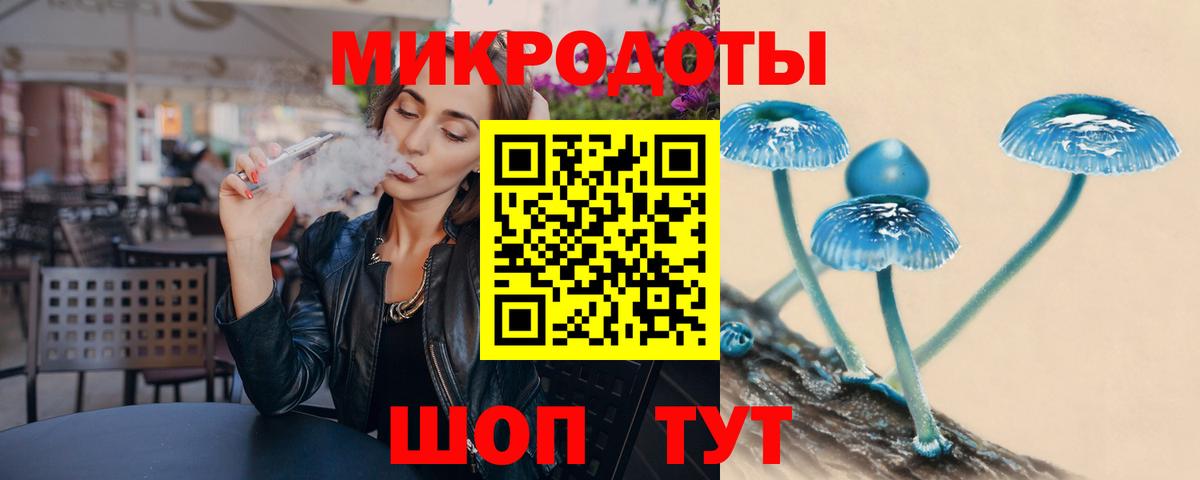 Псилоцибиновые грибы Cubensis Грозный