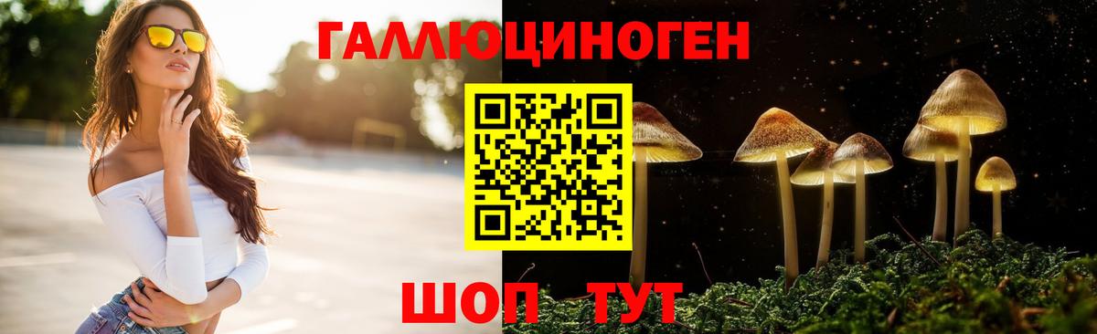 Галлюциногенные грибы Magic Shrooms  Галлюциногенные грибы GOLDEN TEACHER  где продают наркотики  Грозный  Вход с VPN 